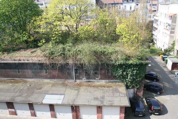 Amtmannwinter3 Amtmannwinter3