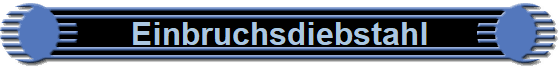 Einbruchsdiebstahl
