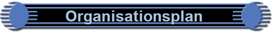 Organisationsplan 