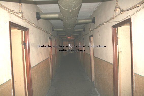 Linden3778