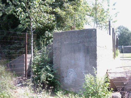 aa1-DG4